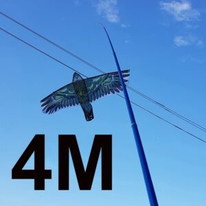 Kotas 4M, aitvarui kaina internetu