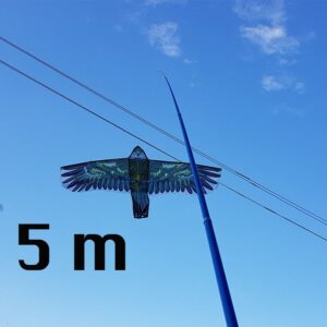 Kotas 5M Aitvarui kaina internetu