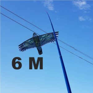 Kotas 6M Aitvarui kaina internetu