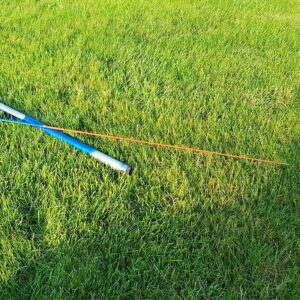 Kotas 6M Aitvarui kaina internetu