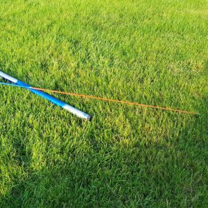 Kotas 7M aitvarui kaina internetu