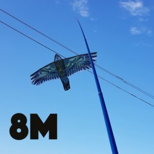 Kotas 8M aitvarui kaina internetu