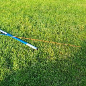 Kotas 8M aitvarui kaina internetu