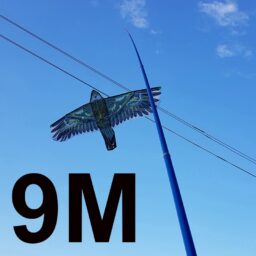 Kotas 9M, aitvarui kaina internetu