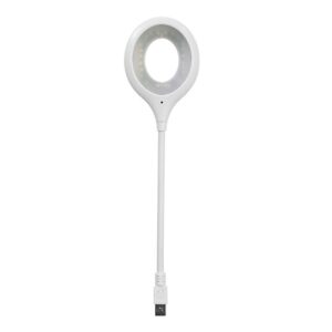 Lanksti USB lemputė kaina internetu