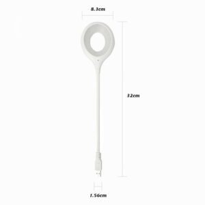 Lanksti USB lemputė kaina internetu