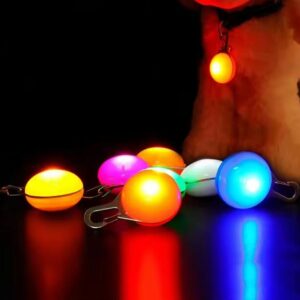 LED Pakabukas Augintinio Antkakliui kaina internetu