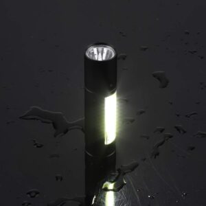 LED prožektorius, 2 LED kaina internetu