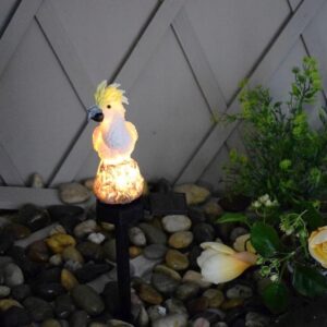 LED saulės sodo lempa – Papūga kaina internetu