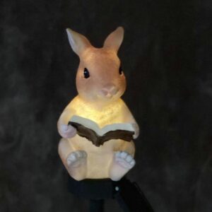 LED Sodo Lempa Triušio Formos kaina internetu