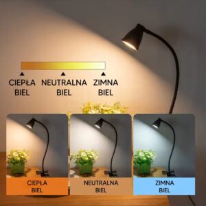 LED stalinė lempa kaina internetu