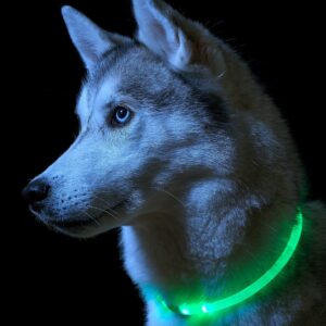 LED šviečiantis antkaklis (Žalia) kaina internetu
