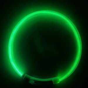LED šviečiantis antkaklis (Žalia) kaina internetu