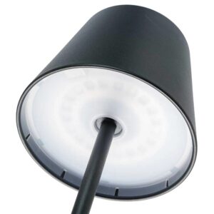 LED šviestuvas "Greenmotion" kaina internetu