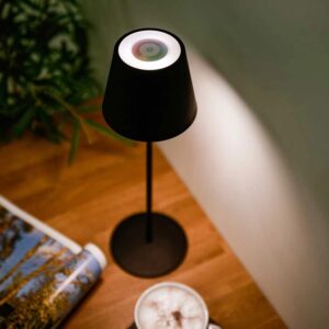 LED šviestuvas "Greenmotion" kaina internetu