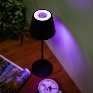 LED šviestuvas "Greenmotion" kaina internetu