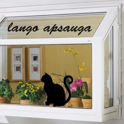 Lipdukas Apsaugai Nuo Paukščių Atsitrenkimo Į Langus kaina internetu