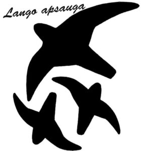 Lipdukas Apsaugai Nuo Paukščių Atsitrenkimo Į Langus kaina internetu