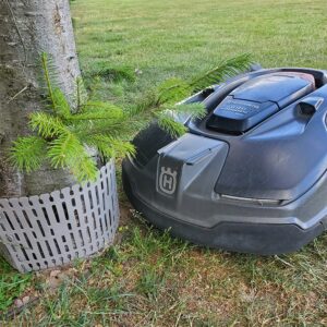 Medžio kamienų apsauga XLINE kaina internetu