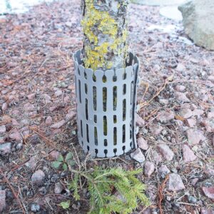 Medžio kamienų apsauga XLINE kaina internetu