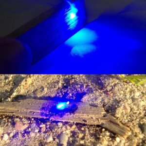 MĖLYNAS GALINGAS LAZERIS SU 5 EFEKTŲ GALVUTĖMIS kaina internetu