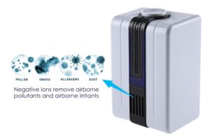 NAMŲ ORO JONIZATORIUS kaina internetu