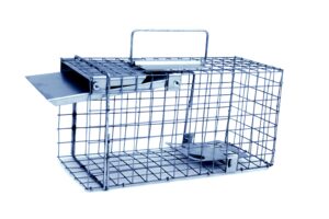 Narvas spąstai 35X17X20cm kaina internetu