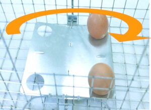 Narvas spąstai 35X17X20cm kaina internetu