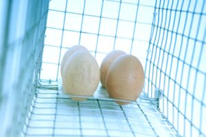 Narvas spąstai 35X17X20cm kaina internetu