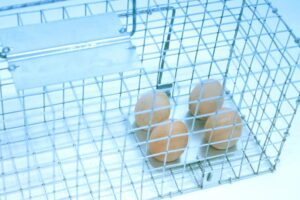 Narvas spąstai 35X17X20cm kaina internetu