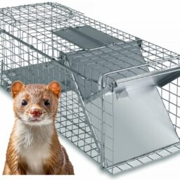 Narvas spąstai 50X17X20cm kaina internetu