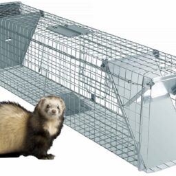 Narvas spąstai 65X17X20 (du įėjimai) kaina internetu