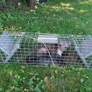 Narvas spąstai 65X17X20 (du įėjimai) kaina internetu