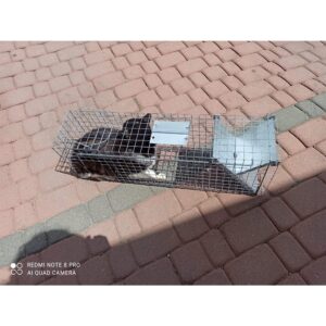 Narvas spąstai 82X20X27 kaina internetu