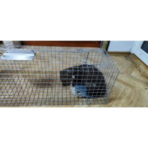 Narvas spąstai 82X20X27 kaina internetu