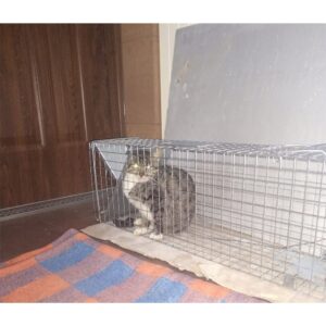 Narvas spąstai 82X20X27 kaina internetu