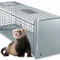 Narvas spąstai 82x26x26CM kaina internetu