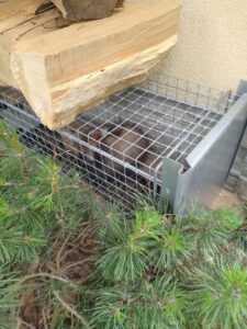 Narvas spąstai 82x26x26CM kaina internetu