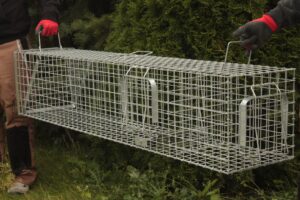 Narvas, spąstai, gaudyklė su kamera jaukui kaina internetu