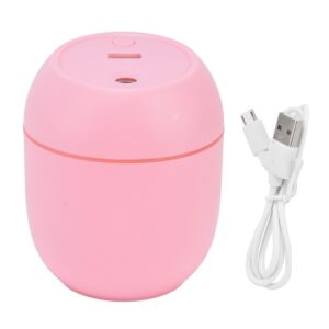 Oro Drėkintuvas + USB - Balta kaina internetu