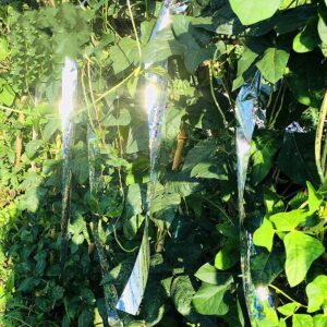 Paukščius atbaidanti juosta kaina internetu