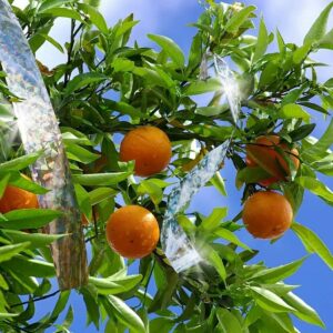 Paukščius atbaidanti juosta kaina internetu