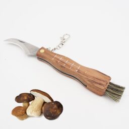 Peilis grybams XLINE kaina internetu