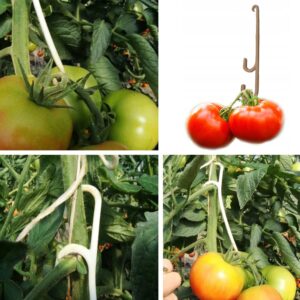 Plastikiniai kabliukai pomidorams 50 vnt. kaina internetu