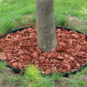 Plastikinis vejos apvadas - bortelis 10m +20 vinių kaina internetu