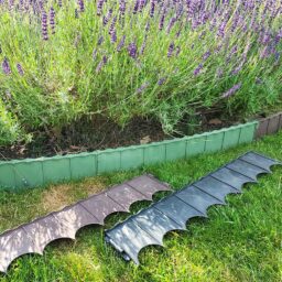 Plastikinis vejos atitvaras 5 vnt. - Žalia kaina internetu