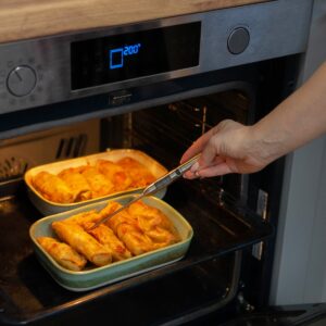 Plieninis maisto termometras (-40°C iki +300°C) kaina internetu