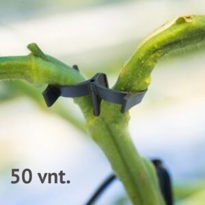 Pomidorų šakelių laikikliai, 50 vnt. kaina internetu