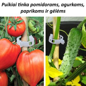 Pomidorų segtukai, 50 vnt. kaina internetu