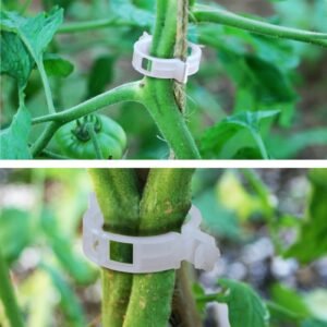 Pomidorų segtukai, 50 vnt. kaina internetu